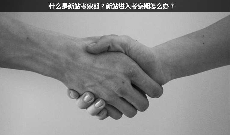 什么是新站考察期？新站進入考察期怎么辦？