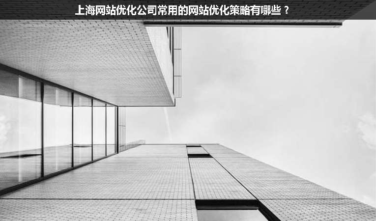上海網(wǎng)站優(yōu)化公司常用的網(wǎng)站優(yōu)化策略有哪些？