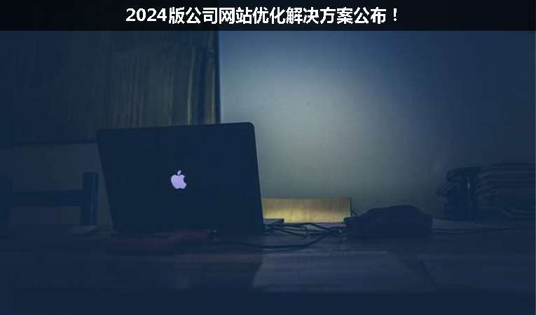 2024版公司網(wǎng)站優(yōu)化解決方案公布！